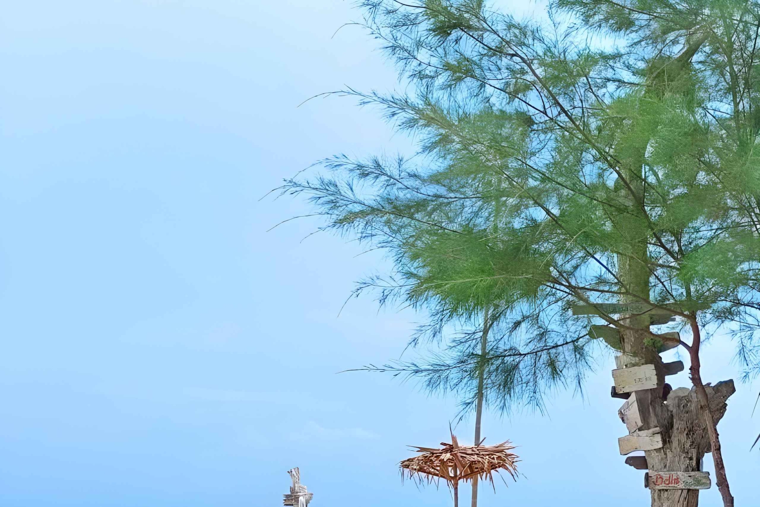 Koh Samui: Privat tur med speedbåd til 3 sydlige øer