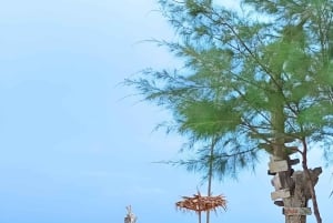 Koh Samui: Privat tur med speedbåd til 3 sydlige øer