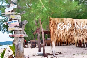 Koh Samui: Privat tur med speedbåd til 3 sydlige øer