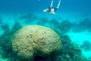 Koh Samui: Private Longtail Tour to Koh Mat Sum (Pig Island)