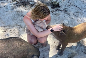 Koh Samui: Private Longtail Tour to Koh Mat Sum (Pig Island)