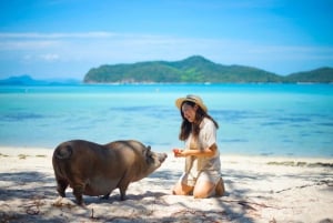 Koh Samui: Privat longtail-tur til Koh Mat Sum (griseøen)