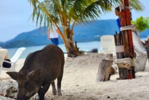 Koh Samui: Privat longtail-tur til Koh Mat Sum (griseøen)