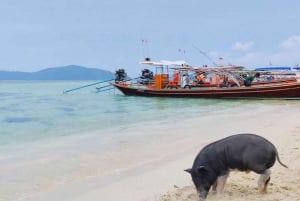 Koh Samui: Tour privado en Longtail a Koh Mat Sum (Isla de los Cerdos)