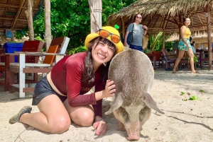Koh Samui: Private Speedboat to Pig Island with Snorkeling