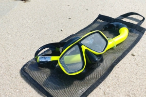 Koh Samui: Private Speedboat to Pig Island with Snorkeling