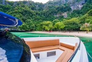 Koh Samui: Privat hurtigbåt til Pig Island med snorkling