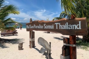 Koh Samui: Privat speedbåd til Pig Island med snorkling