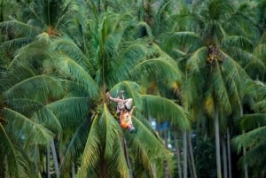Koh Samui: Samui Zipline Adventure with Transfer service