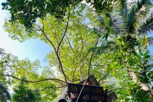 Koh Samui: Samui Zipline Adventure with Transfer service