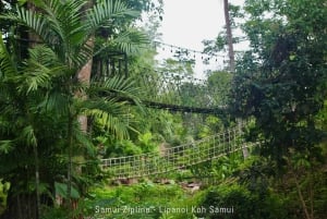 Koh Samui: Samui Zipline Adventure with Transfer service