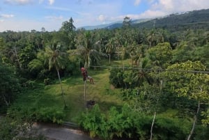 Koh Samui: Samui Zipline Adventure kuljetuspalvelun kanssa