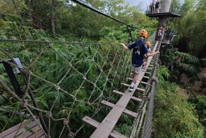 Koh Samui: Samui Zipline Adventure kuljetuspalvelun kanssa