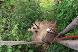 Koh Samui: Samui Zipline Adventure kuljetuspalvelun kanssa