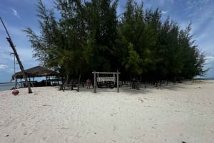 Koh Samui: Secret Islands VIP Speedboat Tour with BBQ Lunch