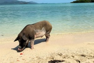 Koh Samui: Secret Islands VIP Speedboat Tour with BBQ Lunch