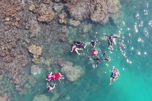 Koh Samui: Sunset Pig island and Snorkeling Koh tan w/dinner