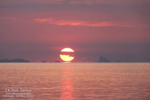 Koh Samui: Sunset Pig island and Snorkeling Koh tan w/dinner