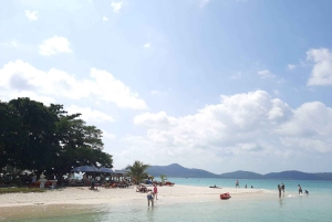 Koh Samui: Sunset Pig island and Snorkeling Koh tan w/dinner