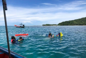 Koh Samui: Sunset Pig island and Snorkeling Koh tan w/dinner