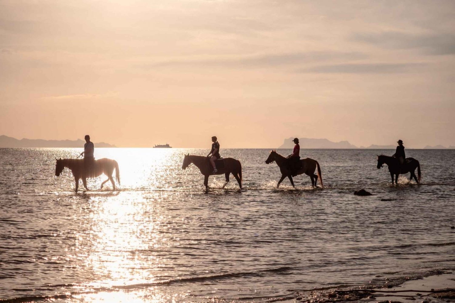 Koh Samui: Sunset Trail Horse Riding on The Beach