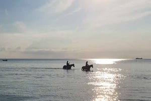 Koh Samui: Sunset Trail Horse Riding on The Beach