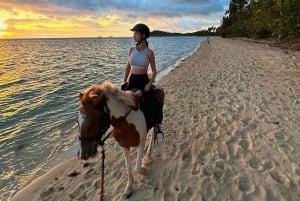 Koh Samui: Sunset Trail Horse Riding on The Beach