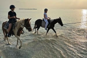 Koh Samui: Sunset Trail Horse Riding on The Beach