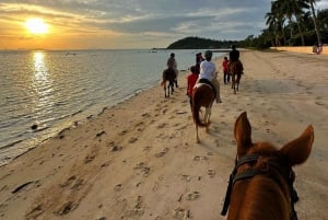 Koh Samui: Sunset Trail Horse Riding on The Beach