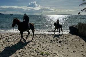 Koh Samui: Sunset Trail Horse Riding on The Beach