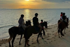 Koh Samui: Sunset Trail Horse Riding on The Beach