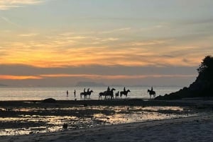 Koh Samui: Sunset Trail Horse Riding on The Beach