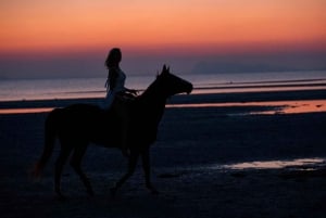 Koh Samui: Sunset Trail Horse Riding on The Beach