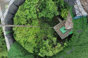 Koh Samui: a maior e mais longa aventura de tirolesa na selva