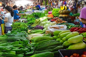 Koh Samui: Traditional Thai Cooking Class with Market Tour