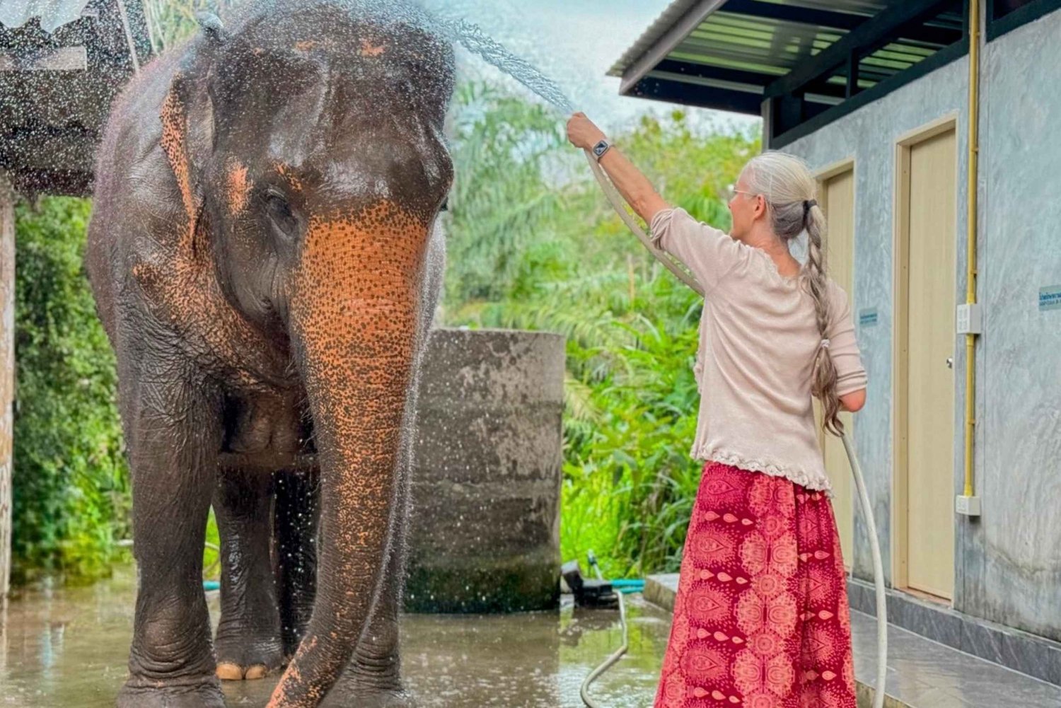 Koh Samui: Tour unico dell'isola e santuario degli elefanti con pranzo
