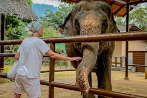 Koh Samui: Tour unico dell'isola e santuario degli elefanti con pranzo