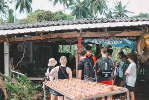 Koh Samui: Unik rundtur i lokalområdet og elefantreservat med lunsj