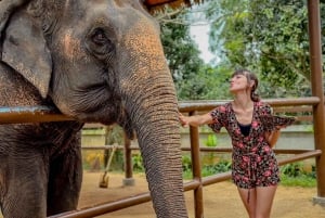 Koh Samui: Unique Iocal Tour & Elephant Sanctuary with lunch