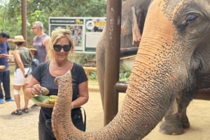 Koh Samui : Visite unique de l'île et du sanctuaire des éléphants avec déjeuner