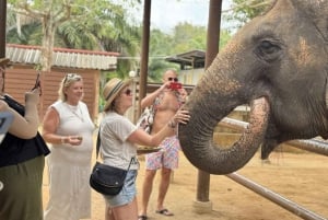 Koh Samui: Unikalna wycieczka lokalna i sanktuarium słoni z lunchem