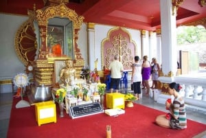 Koh Samui Waterfall And Mummified Monk Temple Tour