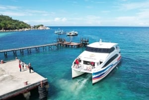 Ко-Тао: трансфер на скоростном катамаране от/до Ко-Пангана