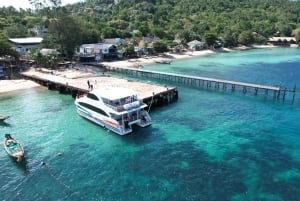 Ко-Тао: трансфер на скоростном катамаране от/до Ко-Пангана