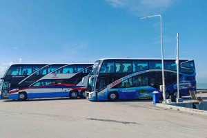 De Krabi a Ko Tao de ônibus e barco