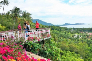 Lamai Viewpoint Zipline Experience in Koh Samui