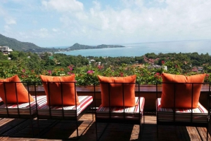 Lamai Viewpoint Zipline Experience in Koh Samui