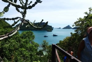 Mu Ko Ang Thong Park: Semi-private Sunset Cruise Tour