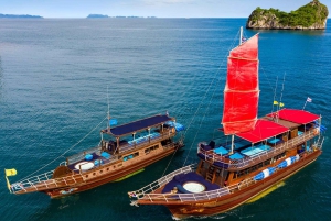 Mu Ko Ang Thong: Private Day Charter in Classic Thai Yacht