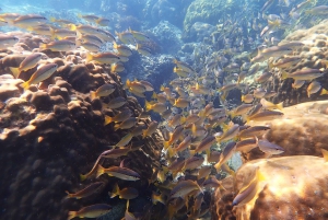 Mu Ko Ang Thong: prywatny czarter na klasycznym tajskim jachcie